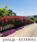 屋外 自然 室外 65389042