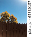 屋外 室外 秋 65389157