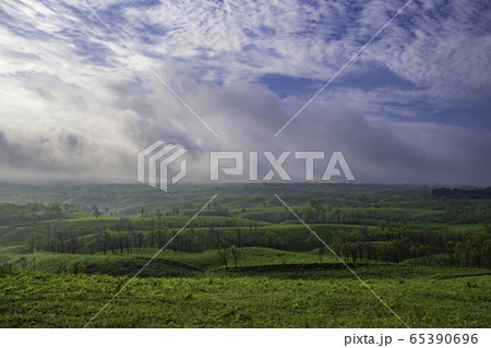 風景 風景 65390696