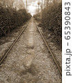 自然 鉄道 交通 65390843