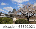 姫路城と桜 65391021