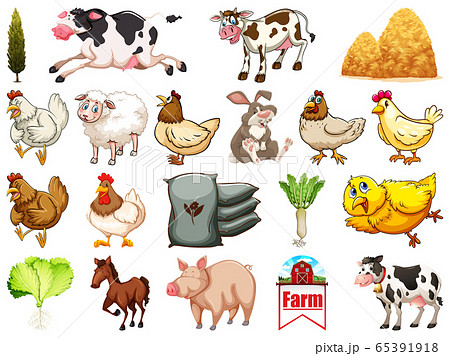 Set of farm animals Set of farm animals 65391918