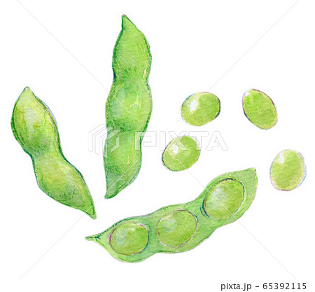 水彩イラスト 豆類 枝豆 水彩イラスト 豆類 枝豆 65392115