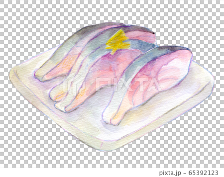 水彩イラスト　魚介　魚　シメサバ 65392123
