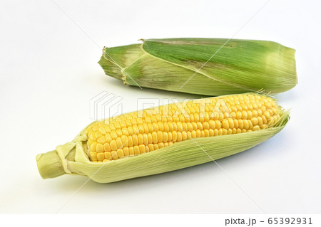 トウモロコシ（ゴールドラッシュ） 65392931