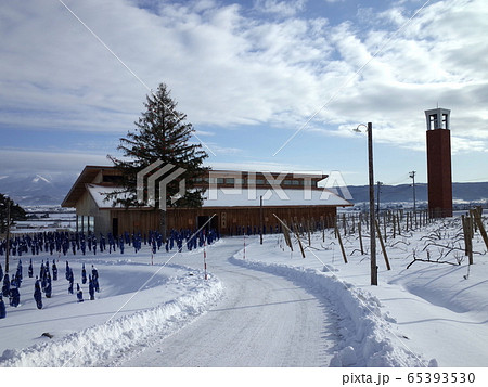 ぶどう畑の冬_富良野 65393530