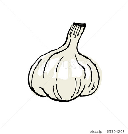 にんにくのイラスト素材