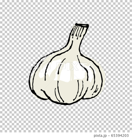 Garlic 65394203