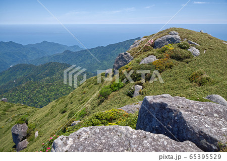 宮之浦岳からの眺め 65395529