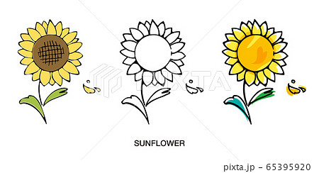 Sunflower Illustration Hand Drawn Style Sketch Stock Illustration