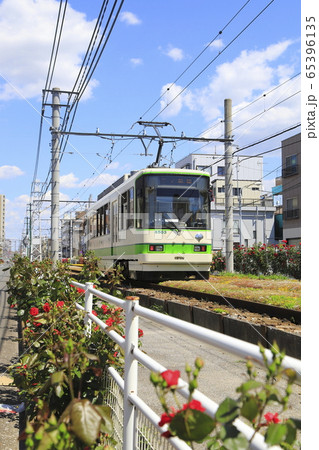 都電荒川線 荒川車庫前付近にて 都電荒川線 荒川車庫前付近にて 65396135