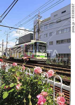 都電荒川線 荒川車庫前付近にて 都電荒川線 荒川車庫前付近にて 65396367