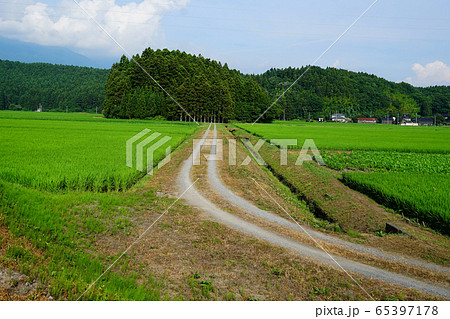丸池様 山形県 観光地 丸池様 山形県 観光地 65397178