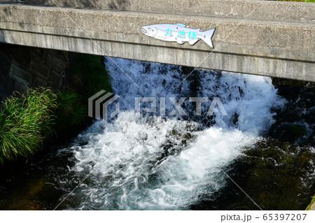 丸池様 山形県 観光地 丸池様 山形県 観光地 65397207