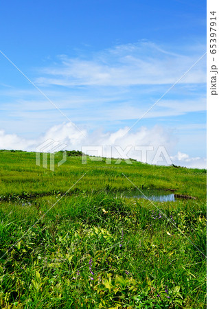 月山弥陀ヶ原　東北 65397914