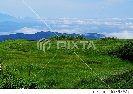 月山弥陀ヶ原 東北 月山弥陀ヶ原 東北 65397927
