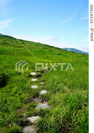 月山弥陀ヶ原 東北 月山弥陀ヶ原 東北 65397980