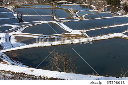 新潟県長岡市山古志 雪景色の養鯉池 新潟県長岡市山古志 雪景色の養鯉池 65398018