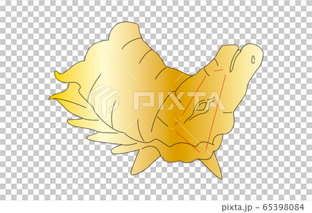 88星座金こうま座 88星座金こうま座 65398084
