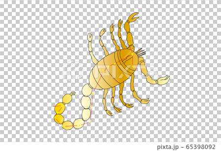 88星座金さそり座 88星座金さそり座 65398092