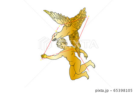 88星座金わし座 88星座金わし座 65398105