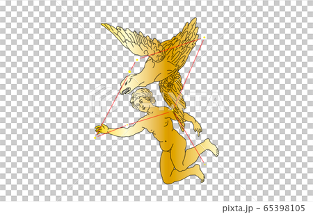 88星座金わし座 88星座金わし座 65398105