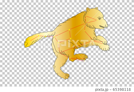 88星座金おおぐま座 65398118