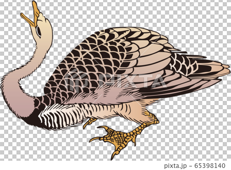 浮世絵　鳥　その6 65398140