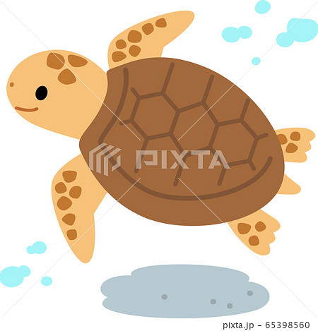 Sea Turtle Swimming Underwater Stock Illustration