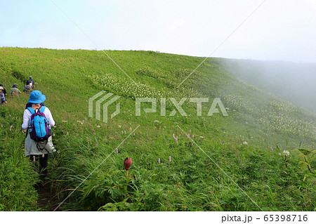礼文島 北海道 礼文島 北海道 65398716
