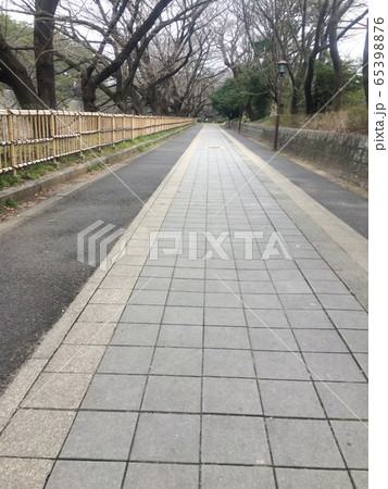 冬の石畳の道 65398876