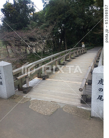 虎仙橋 虎の尾 虎仙橋 虎の尾 65398937