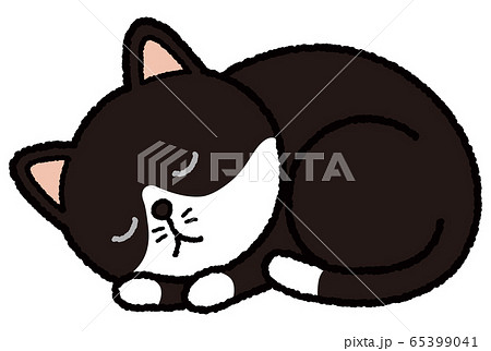 居眠りハチワレ猫のイラスト素材