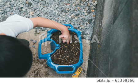 6 years old 65399366