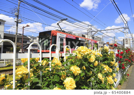 都電荒川線 荒川車庫前付近にて   65400884