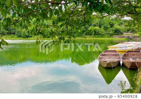 京都の広沢池 京都の広沢池 65400928