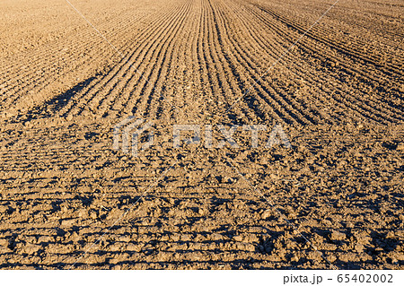 Furrows row pattern in a plowed field prepared for 65402002