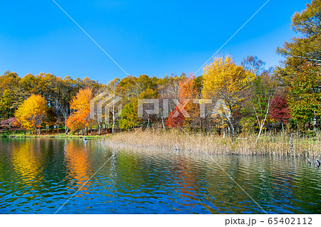 長野県 白樺高原 紅葉に染まる女神湖 長野県 白樺高原 紅葉に染まる女神湖 65402112