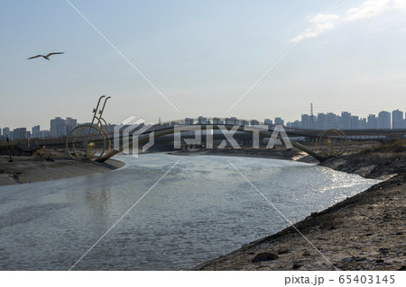 自然 風景 韓国 65403145