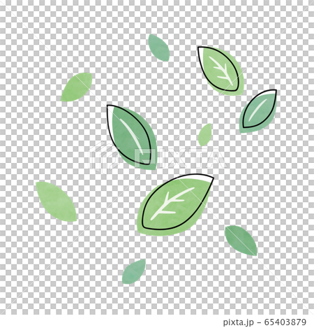 Leaf fresh green Leaf fresh green 65403879