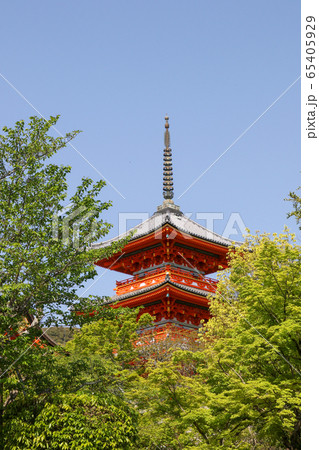 京都府 春 京都 清水寺 子安塔 京都府 春 京都 清水寺 子安塔 65405929
