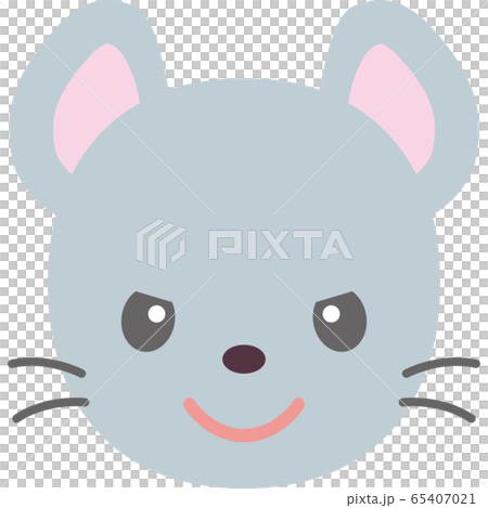 Mouse expression Mouse expression 65407021