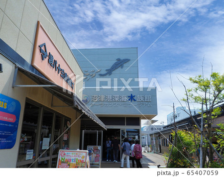 静岡県沼津市の沼津港深海水族館 65407059