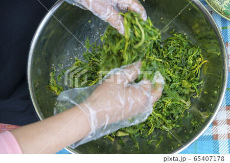 植物 春 緑 65407178