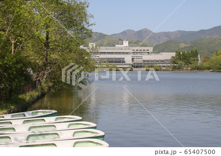 京都市 春 宝が池 京都市 春 宝が池 65407500