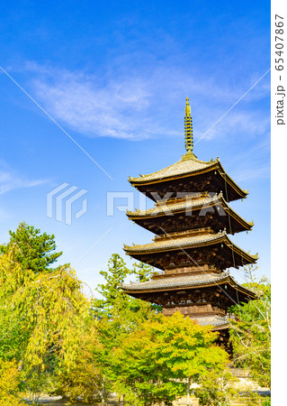 仁和寺の五重塔 仁和寺の五重塔 65407867