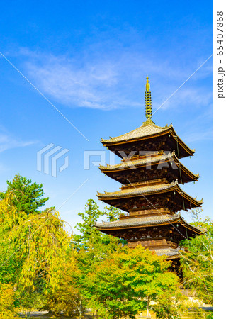 仁和寺の五重塔 仁和寺の五重塔 65407868