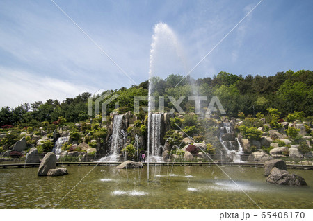 植物 春 緑 65408170