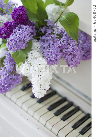 lilac on piano close-up. White piano. Lilac bouquet several colors over Syringa vulgaris. Lilac flowers bunch. lilac on piano close-up. White piano. Lilac bouquet several colors over Syringa vulgaris. Lilac flowers bunch. 65408752