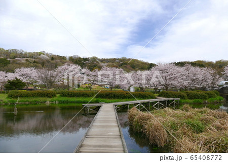 厳島湿生公園 神奈川県足柄上郡中井町 厳島湿生公園 神奈川県足柄上郡中井町 65408772